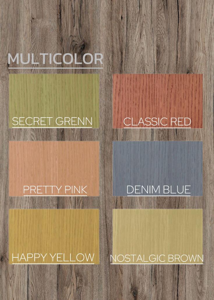 PALL-333 COLOR 1LT COLECCION MULTICOLOR