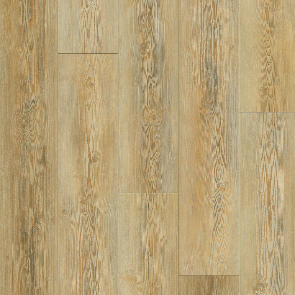 Pinotea (2203) 4mm - 0.5